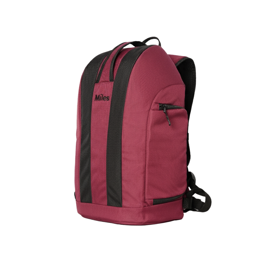 Locksy Backpack